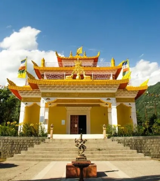 img-deer-park-institute-bir