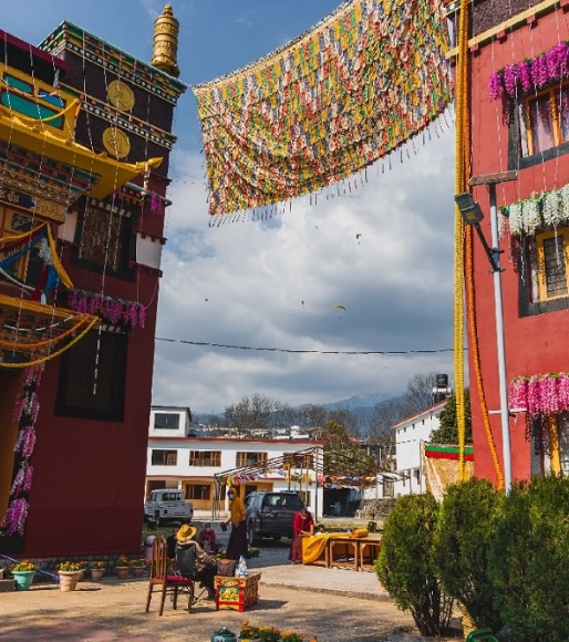 Bir Tibetan Colony & Cafés
